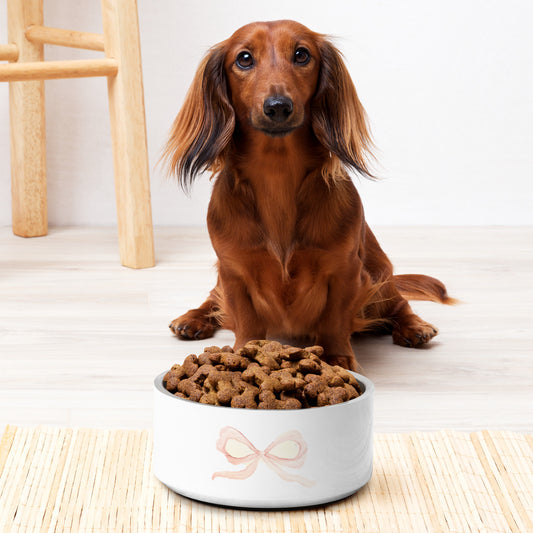 Pink Bow Pet bowl